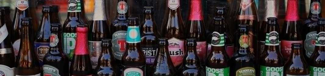 Bier